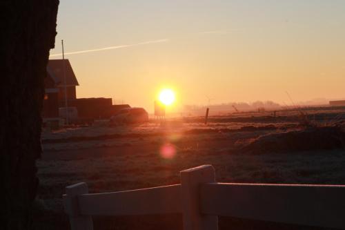 Harlingen Staete