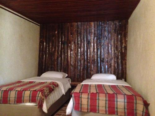 Amazon Petite Palace