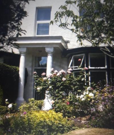 The Swallows Guest House