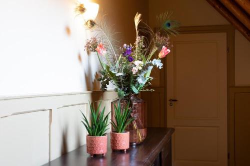 Restaurant and Hotel Bi'j de Watermölle