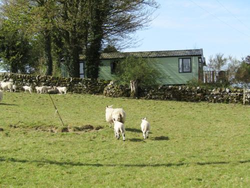 Barnkirk Holidays