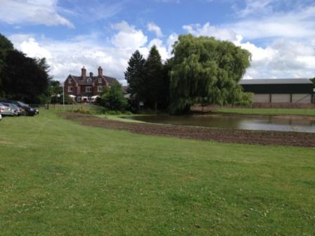 Whitethorn Farm Bed & Breakfast