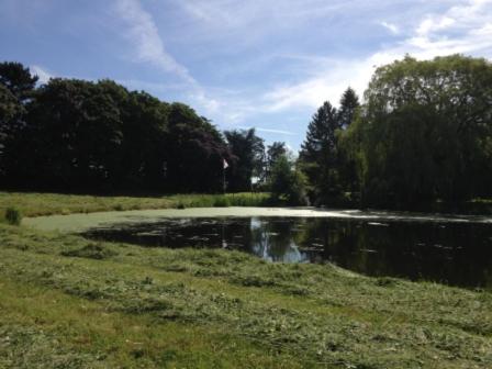 Whitethorn Farm Bed & Breakfast