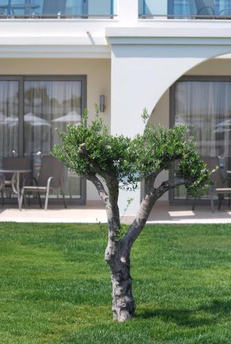 Apollo Blue Hotel