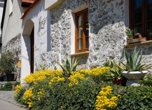 Weingut Langmayer