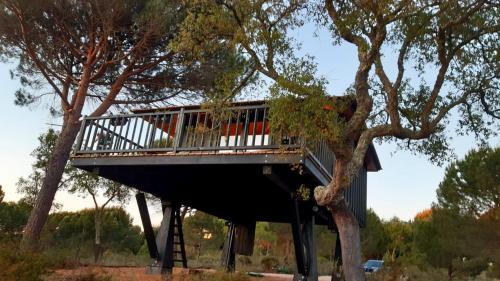 Ying Yang Monte Da Lua