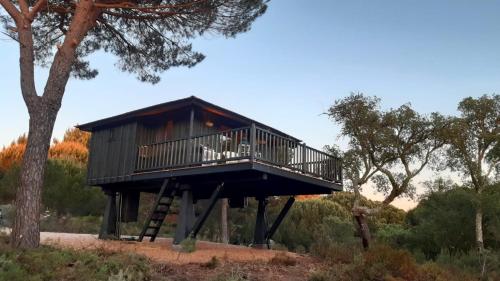 Ying Yang Monte Da Lua