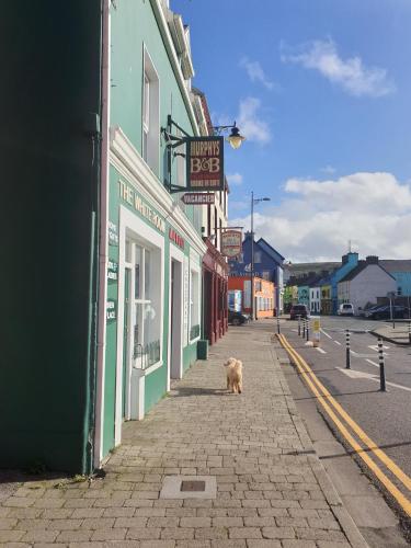 Murphys Pub B&B