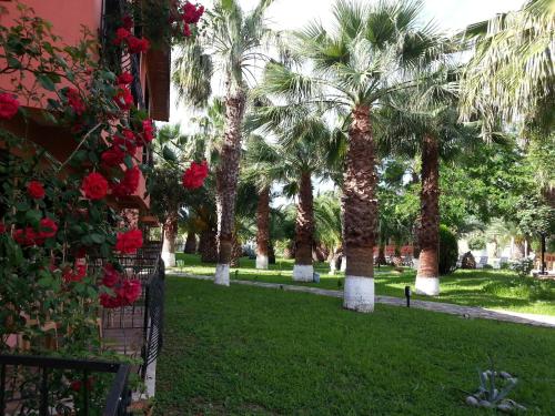 Hotel Palme