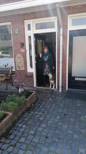 B&B Bij De Koeien
