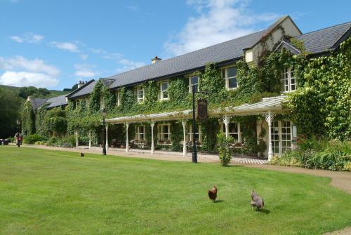 Brooklodge & Macreddin Village