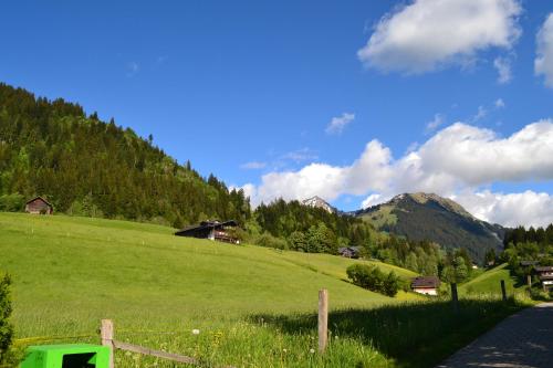 Le Grand Chalet
