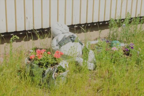 Guesthouse Kuin Kotonaan