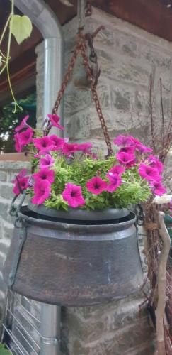 Traditional Rooms karaouli