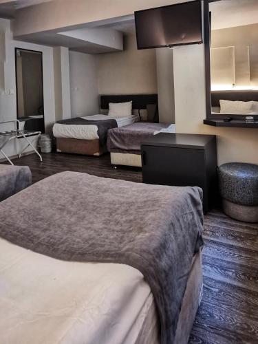 Hotel Temizay