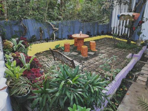 Purple Orchid Bed and Breakfast