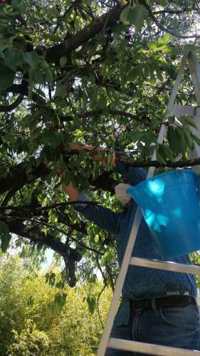 Agriturismo Macchiapiede