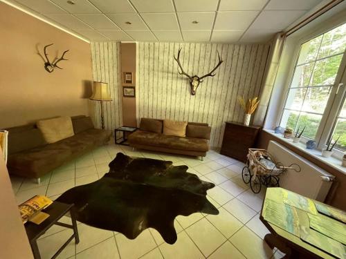 Waldhotel Am Ilsestein