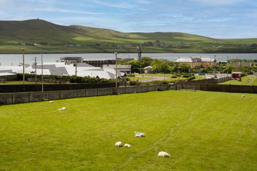 Seaview Heights