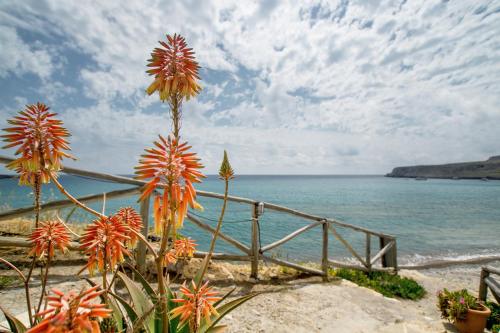 Coral Rooms