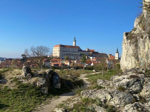 Apartmán Domenica 404