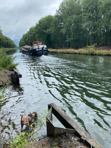 Cachet De Cire 'BeD'