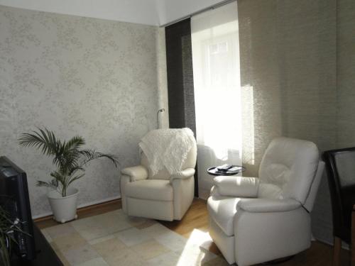 Stay Hotel City House