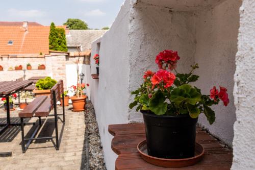 Fenyes Vinorium Panzio