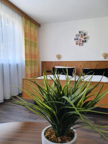 Kursanatorium Anders