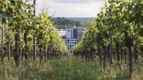 Holiday Inn - the niu, Form Stuttgart Feuerbach