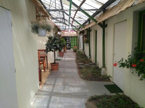 Rastlinky Sk Greenhouse Guestrooms