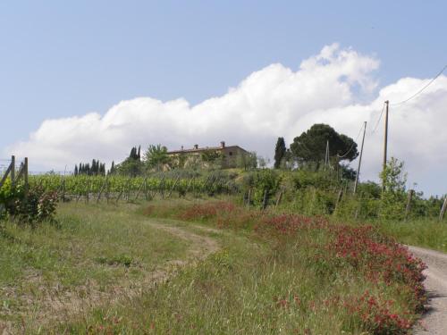 Agriturismo Collesassi