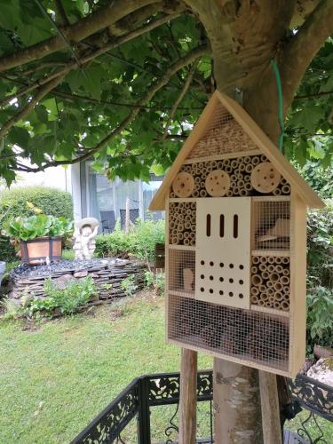 Moselromantik Hotel Panorama am Panoramabogen