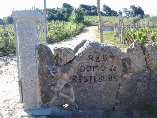 Bed and Breakfast Domo De Resteblas