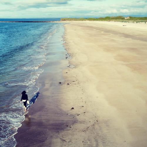 Ross Beach Family Farmhouse B&B