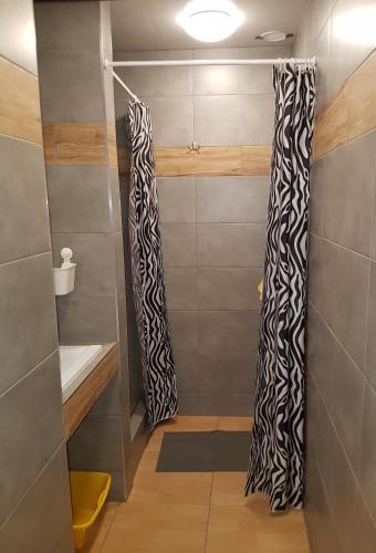 Noclegi Silesia Aster