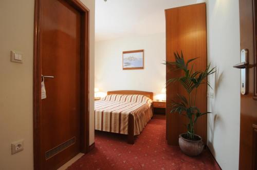 Hotel Rosina
