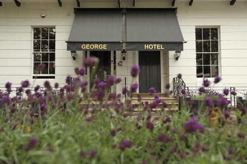 Cult Hotels The George