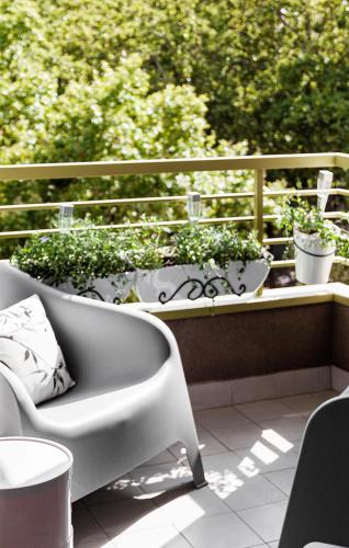 Aniana Alojamiento Boutique