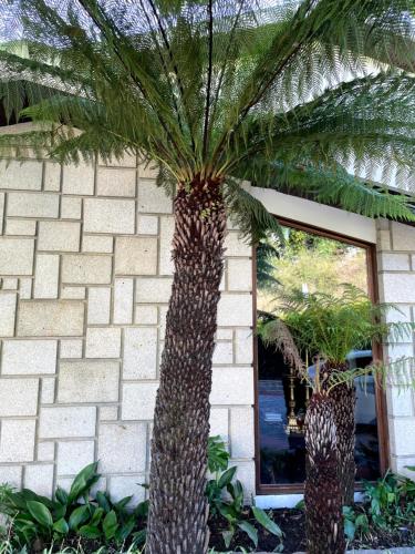 Santiago Family House