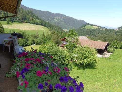 Haus Enzian