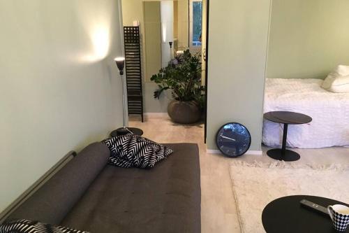 Kauniit yksiöt, 600m keskustaan, free park