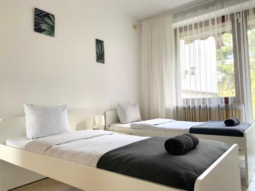 Hostel Rezydencja Parysa