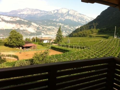 Agritur Al Vigneto