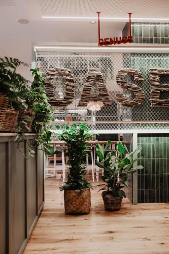 Hotel Stadtoase Kolping Budget-Zimmer