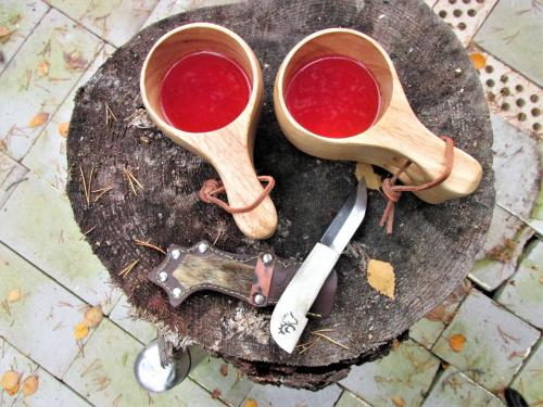 Scandinavian Dream Vikajarvi