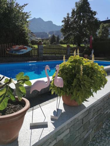 Gastehaus Alpenblick