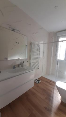 Guggenheim Bilbao Center