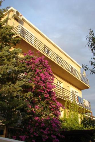 Rooms & Apartments Dora