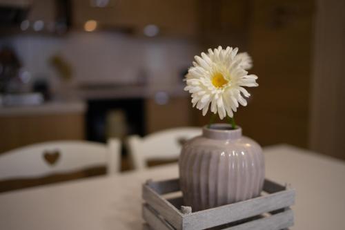 Il Borgo Appartamenti